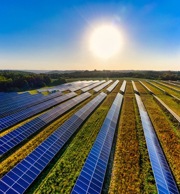 L'agrivoltaïsme : une révolution agricole et énergétique